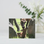 Mère elfe embrasse carte postale bébé (Debout devant)