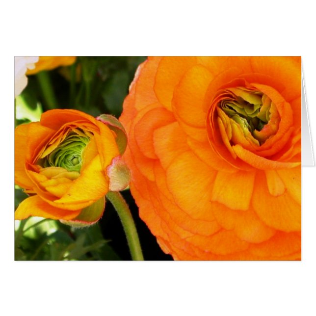 Mère et enfant (Devant horizontal)