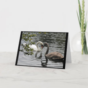 Mère et Enfant — Une carte de voeux de cygne
