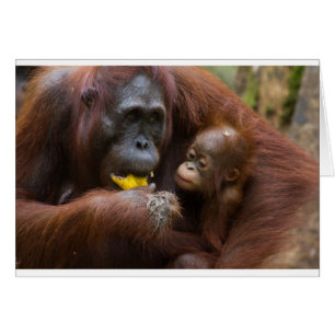Mère et fils