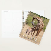 Mère girafe et bébé au Kenya (Devant avec enveloppe)