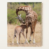 Mère girafe et bébé au Kenya (Dos)