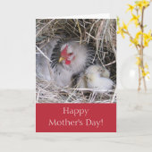 Mère Hen avec la nouvelle carte de voeux (Fleur jaune)