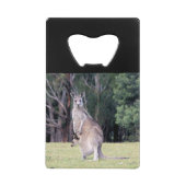 Mère Kangaroo avec bébé Joey dans sa poche (Devant)
