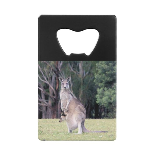 Mère Kangaroo avec bébé Joey dans sa poche (Dos)