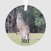 Mère Kangaroo avec bébé Joey dans sa poche (dos)