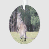 Mère Kangaroo avec bébé Joey dans sa poche (devant)