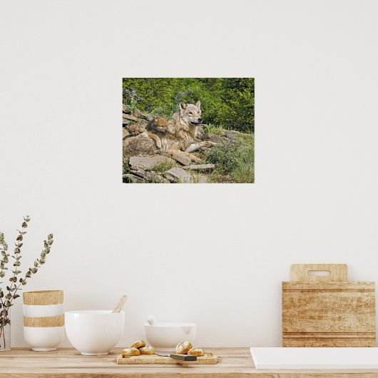 Mère Loup avec 2 Cubs Poster (Cuisine)