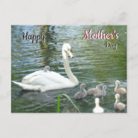 Mère Mignonne Swan & Bébés Carte postale Fête des 