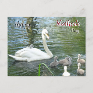 Mère Mignonne Swan & Bébés Carte postale Fête des 