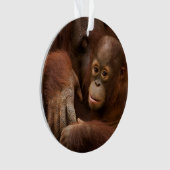 Mère orang-outan et bébé au zoo (devant)