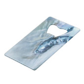 Mère perle malaisienne sauvage (Devant Angle)