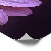 Mère Theresa cite 24" x 24", Poster Paper (Coin)