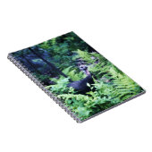 Mère Turquie dans le Carnet des Ferns (Côté Droit)