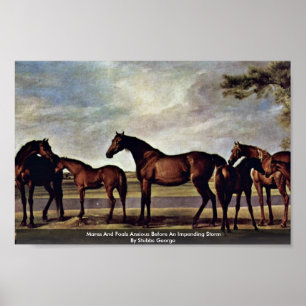 Meren en dieren die angstig zijn voor een dreigend poster