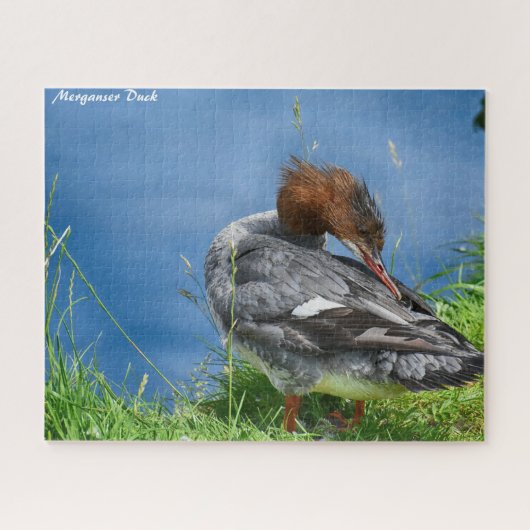 Merganser Duck Legpuzzel (Horizontaal)