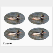 Merganser sticker met rode borst (Vel)