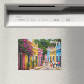 Merida Mexico Travel Magneet (Insitu (Vaatwasser))