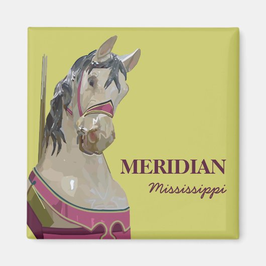 Meridian Carré Magnet (Devant)