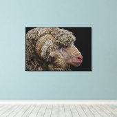 Merino-schaap Canvas Afdruk (Insitu (Houten vloer))