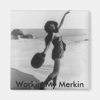 Merkin Magnet Magneet