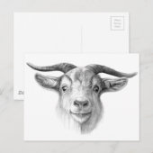 Merkwaardige geit G124 Briefkaart (Voorkant / Achterkant)