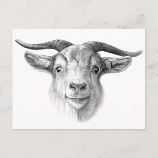 Merkwaardige geit G124 Briefkaart (Voorkant)
