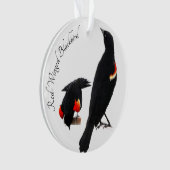 Merle à ailes rouges (devant)