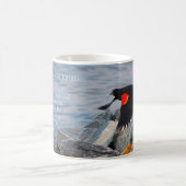 MERLE À AILES ROUGES - tasse (Centre)