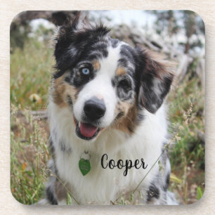 Merle Australian Shepherd Puppy Bier Onderzetter