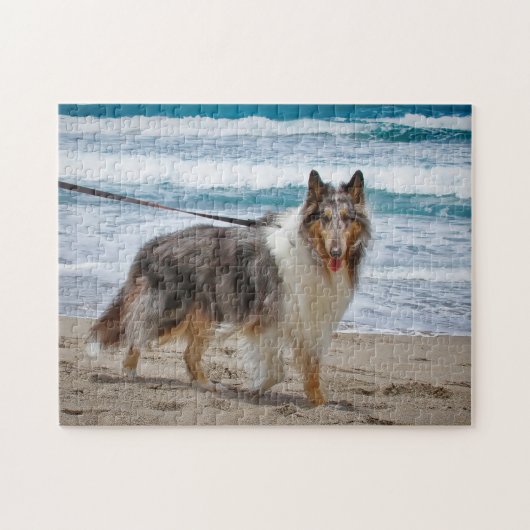 Merle Collie bij het strand Legpuzzel (Horizontaal)