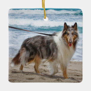 Merle Collie Dog aan het strand Keramisch Ornament