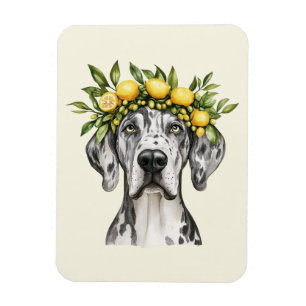Merle Great Dane Dog Lemon Crown Magneet