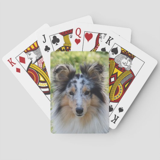 Merle Shetland Sheepdog - Sheltie Dog Pokerkaarten (Achterkant)
