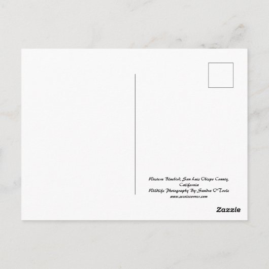 Merlebleue de l'Ouest, faune, carte postale (Dos)