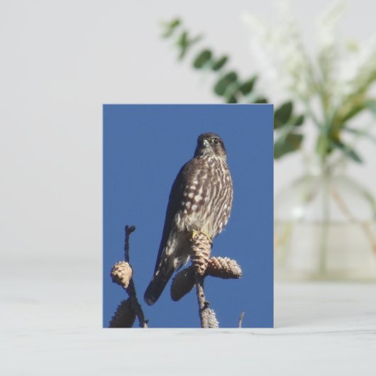 Merlin briefkaart (Staand voorkant)