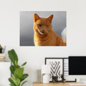 Merlin en de orb poster (Thuiskantoor)