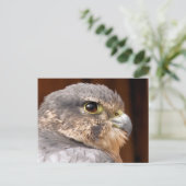 MERLIN FALCON BIRD VAN PREY BRIEFKAART (Staand voorkant)