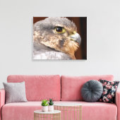 MERLIN FALCON BIRD VAN PREY CANVAS AFDRUK (Insitu (Woonkamer))