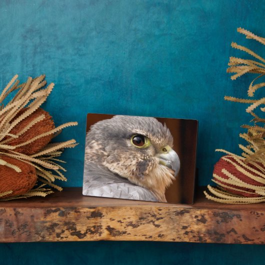 MERLIN FALCON BIRD VAN PREY FOTOPLAAT (Zijkant)