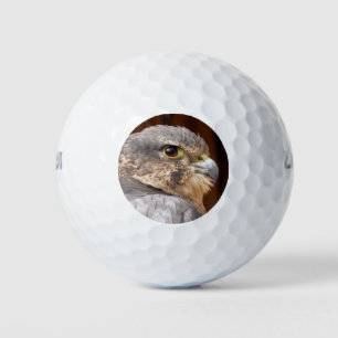 MERLIN FALCON BIRD VAN PREY GOLFBALLEN