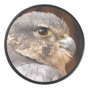 MERLIN FALCON BIRD VAN PREY HOCKEY PUCK