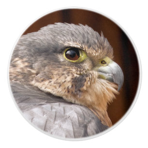 MERLIN FALCON BIRD VAN PREY KERAMISCHE KNOP