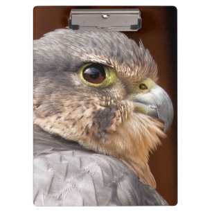 MERLIN FALCON BIRD VAN PREY KLEMBORD