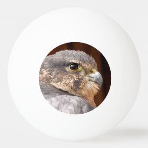 MERLIN FALCON BIRD VAN PREY PINGPONGBALLEN