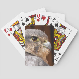 MERLIN FALCON BIRD VAN PREY POKERKAARTEN