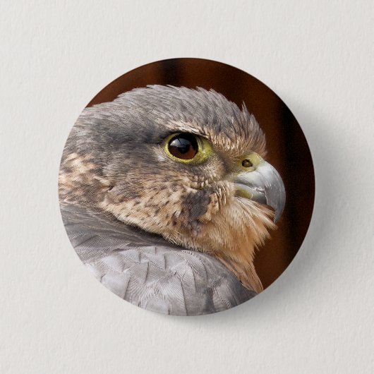 MERLIN FALCON BIRD VAN PREY RONDE BUTTON 5,7 CM (Voorkant)