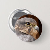 MERLIN FALCON BIRD VAN PREY RONDE BUTTON 5,7 CM (Voorkant /achterkant)