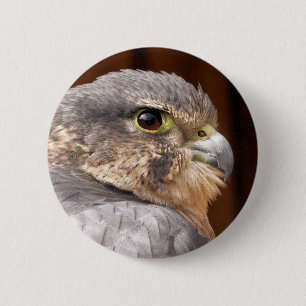 MERLIN FALCON BIRD VAN PREY RONDE BUTTON 5,7 CM
