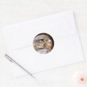 MERLIN FALCON BIRD VAN PREY RONDE STICKER (Envelop)